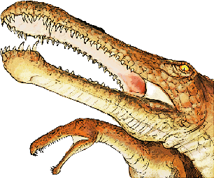 An irritator dinosaur